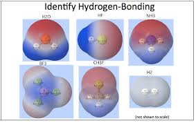 Displaying 8 worksheets for sticky molecules. Please Answer All The Questions Below With The Right Answers 1 At The Bottom Of The