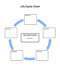 download life cycle chart for microsoft office software its