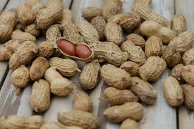 Check spelling or type a new query. Ask The Gardener How To Grow Peanuts In Pittsburgh Everybody Gardens