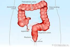 Image result for itchy skin rectum