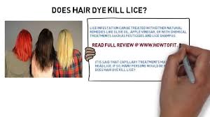 Yes, there are instances when bleach and hair dye can kill both adult lice and nymphs (juvenile lice). Does Hair Dye Kill Lice Youtube