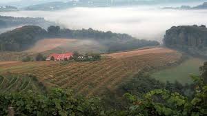 Wo Slowenien Aussieht Wie Die Toskana Die Reise Nach Jeruzalem