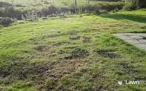 Freezing and thawing of the ground from season to season lifts up or heaves the soil, also making the surface bumpy. How To Fix An Uneven Lawn Lawntech