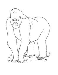 We did not find results for: Western Lowland Gorilla Coloring Page By Mama Draw It Tpt