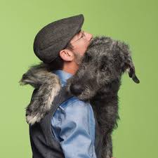 Pin By Davidd On Irish Wolfhounds Irish Dog Irish Wolfhound Puppies Irish Wolfhound
