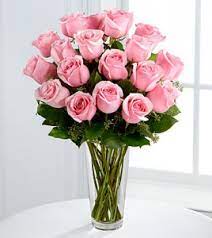 Big plastic led flower pot light color changing luminous floor vase for garden living room bedroom dining room decoration pots specification: Light Pink Roses In Vase By Enchanted Florist Of Cape Coral In Cape Coral Fl Enchanted Florist Of Cape Coral