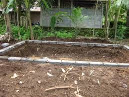 3 tahapan pembuatan konstruksi kolam renang yaitu: Fakta Budidaya Ikan Nila Kolam Beton Untuk Pemula