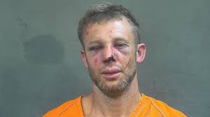 Indiana grandparents defend granddaughter against suspect who allegedly  tried to kidnap her