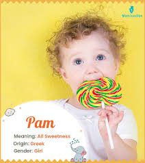 Pamela Name Meaning, Origin, History, And Popularity
