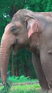 220 Samantha photos ideas in 2025