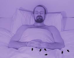 When a person sits on them, they latch onto their clothes and then travel back home with them and then disappear in the mattress when that person lies down. Remote Monitoring For Bed Bugs International Pest Control Magazine International Pest Control Magazine