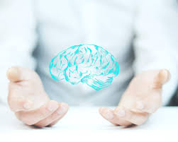 Centro Experimental CYBORG » Neuroanatomy