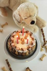 Schmackofatzige Hundetorte Fur Unseren Golden Retriever Tamino Ilios Of Golden Hearts Hunde Torte Hunde Kuchen Hundekuchen