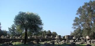 Heute ist nur noch das fundament und eine einzige säule von dem einstigen weltwunder übrig. Zeustempel Olympia Wikiwand