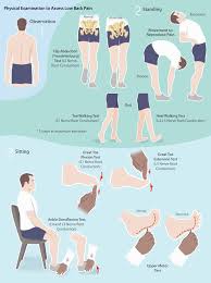 Image result for Low Back Standing Exam