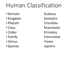 Unit 10 Classification