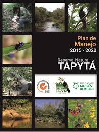 Image result for Rhytachne subgibbosa