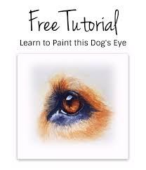 These tips can also be applied to watercolor cats, horses, even. How To Paint A Dog S Eye In Watercolor Free Tutorial