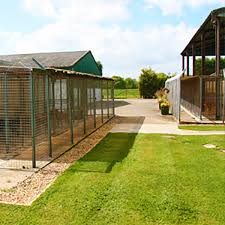 We did not find results for: Luxury Dog Kennels And Dog Boarding In Northampton Hunters Lodge