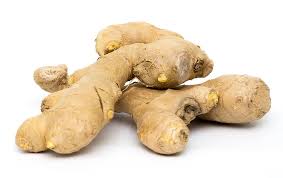 Mammals such as deer have a sharp sense of smell. How To Tell If The Ginger Is Bad