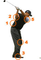 Image result for Golf Injuries