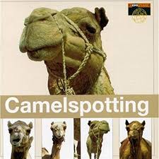 20.09.2019 · the head test is to find a camel. Camel Spotting Various Amazon Ca Music