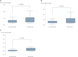 Image result for Urinary Cast