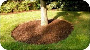 15396 ranch road 620n austin, tx 78717 info@keepaustingreen.com. How To Mulch Real Green Pest And Lawn Austin Tx