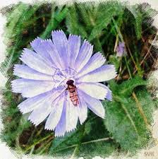 Для розвитку наших дітей в майбутньому, та в суспільстві!!! Pin Na Doshci Flora Flora