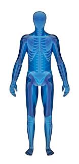 We did not find results for: Joint Spine Pain The Christ Hospital