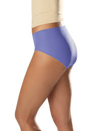 hanes 15763 womens underwear Off 75% - www.alghadirschool.com