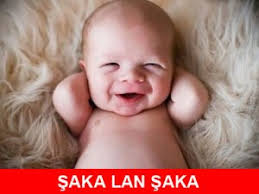 İnternette dolaşan 1 nisan bilgileri ne kadar doğru? 1 Nisan Sakasi Yaparken Dikkat