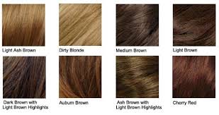 hair color chart shades of blonde brunette red black