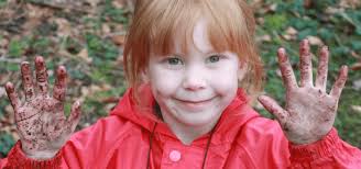 The Collective Community Trust