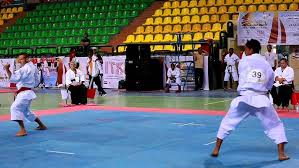 بويكا بطل مصر في الكاراتيه التقليدي في بطوله كاس العالم