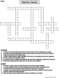 Maybe you would like to learn more about one of these? Digestive System Crossword Puzzle Teaching Resources