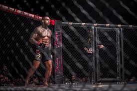 Gábor boráros vs jakub běle [mma oktagon final. Oktagon Prime 3 Gabor Boraros Mauricio Reis Fotogaleria Sport Pravda Sk