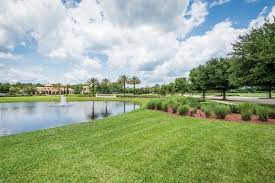 Serving the clear lake city, league city, kemah, friendswood, pearland, seabrook and far southeast houston areas, our customers have come to trust our expertise, dedication, reliability and professional approach to the land care business. Homepage Greenleaf