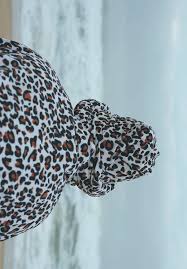 Indigenous Voices: Our Bond with Nature and Healing