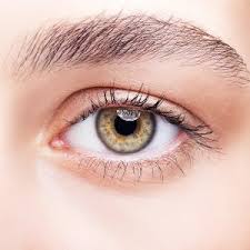 Maybe you would like to learn more about one of these? 30 Products Tools And Tips To Get Rid Of Bags Under Your Eyes The Dermatology Review