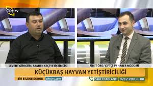 Bilincli Hayvancilik Buyukbas Hayvan Yetistiriciligi Youtube