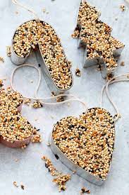 Birdseed Ornaments Recipe Bird Seed Ornaments Homemade Bird Feeders Food Ornaments