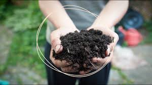 We did not find results for: Faire Du Compost A La Maison Youtube