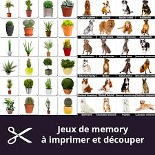 Pas de chronomètre pas de mise en échec l'important est d'y aller à son rythme afin de réaliser des exercices. Nombreux Jeux Memory A Imprimer Pour Les Seniors Imprimez Et Decoupez Les Cartes Memozor