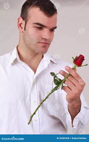 Single Long Stemmed Red Rose Stock Photos