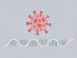 Check spelling or type a new query. How Close Are We To A Covid 19 Vaccine Fivethirtyeight