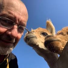 Brian Ager (@thebrianager)