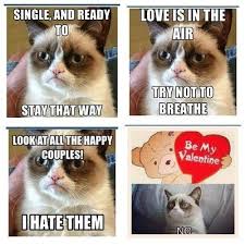 17 Valentine S Day Memes That Will Have You Loving Valentines Day Funny Grumpy Cat Memes Grumpy Cat Humor Grumpy Cat Valentines
