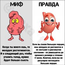 почему мы болеем и что нужно для укрепления здоровья Mify Pro Zheludok Slozhnye Slova Produkty Raznoe