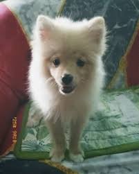 Rating this photograph from 0-10❤️